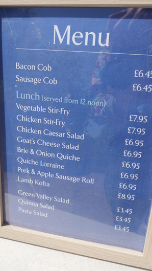 Blue Diamond Bridgmere Garden Opening GTN090525 081.jpg