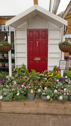 Blue Diamond Bridgmere Garden Opening GTN090525 100.jpg