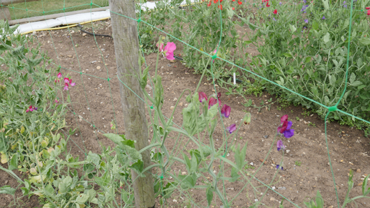 Mr Fothergills Press Day 2024 GTN070824 017.jpg