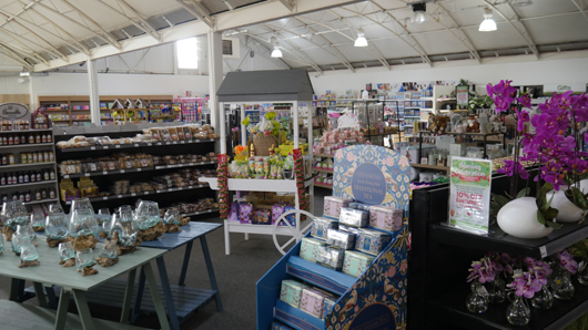 BGC Rugby Opening GTN150325 050.jpg