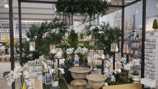 Blue Diamond Bridgmere Garden Opening GTN090525 128.jpg