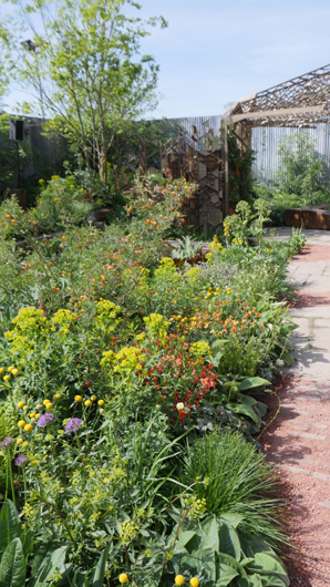 Blue Diamond Bridgmere Garden Opening GTN090525 034.jpg