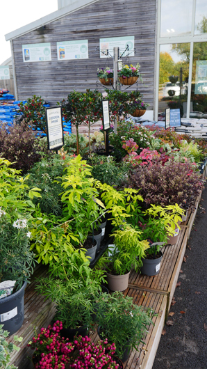 BD Blackdown GTN221025 004.jpg