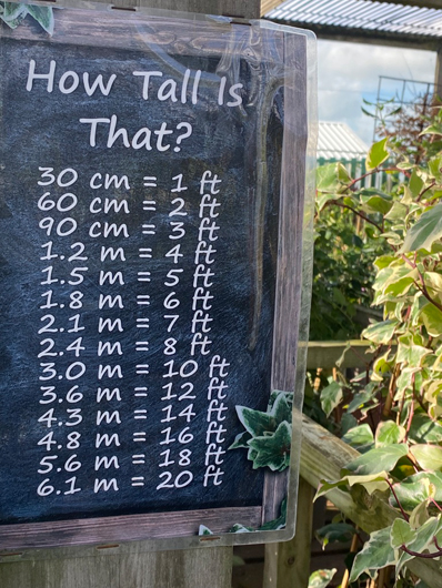 Summerhill - Oct 2025 GTN221025 102.jpg