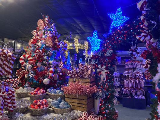 Summerhill - Oct 2025 GTN221025 063.jpg