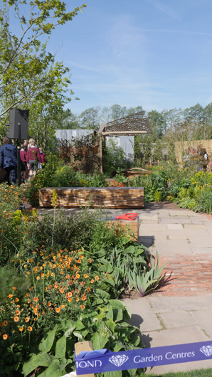 Blue Diamond Bridgmere Garden Opening GTN090525 002.jpg