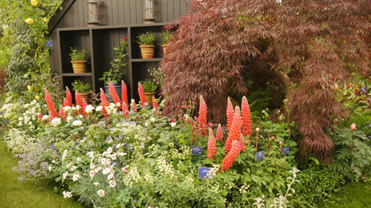 Chelsea 2025 Press Day GTN190525 147.jpg