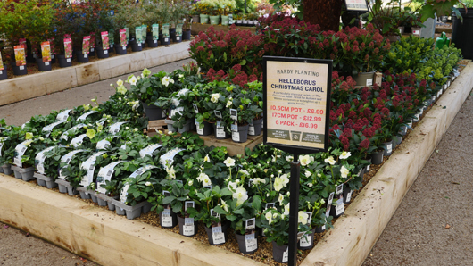 BD Blackdown GTN221025 077.jpg