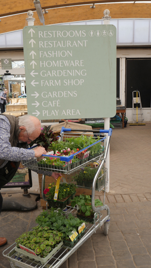 Blue Diamond Bridgmere Garden Opening GTN090525 103.jpg