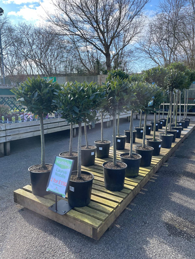 BGC Havant Opening GTN160325 052.jpg