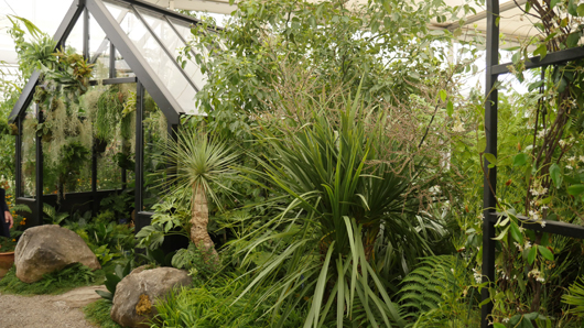 Chelsea 2025 Press Day GTN190525 134.jpg