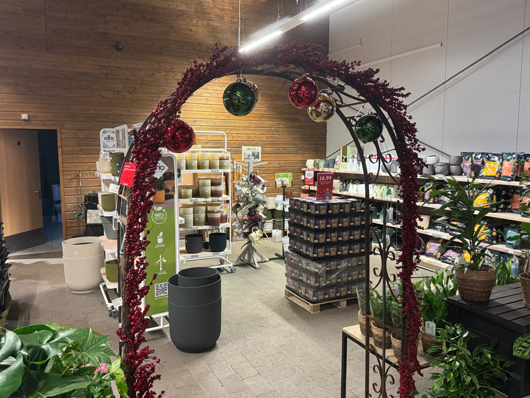 Dobbies Peterborough Christmas 2026 GTN151026 048.jpg