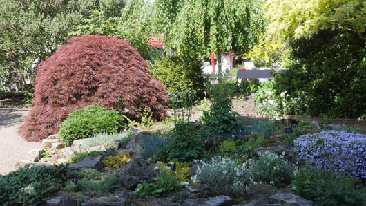 Blue Diamond Bridgmere Garden Opening GTN090525 059.jpg