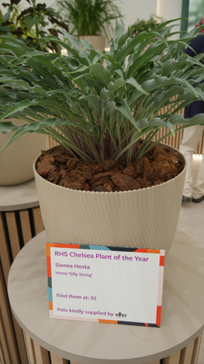 Chelsea 2025 Press Day GTN190525 113.jpg