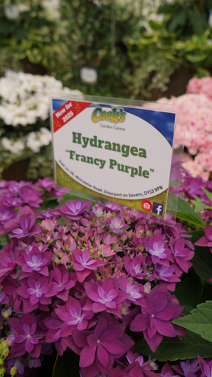 BBC GW Live 2025 Press Day GTN110625 033.jpg