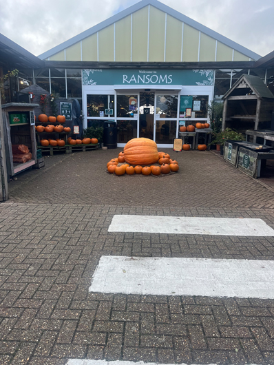 Ransoms Jersey - Oct 2025 GTN-HG201025 001.jpg