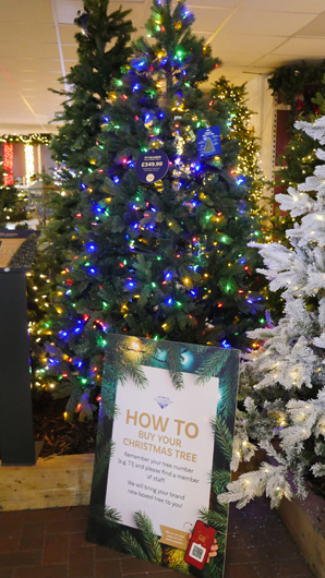 BD Blackdown GTN221025 016.jpg