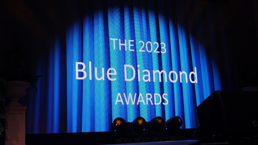 Blue Diamond Awards 2024 GTN070324 139.jpg
