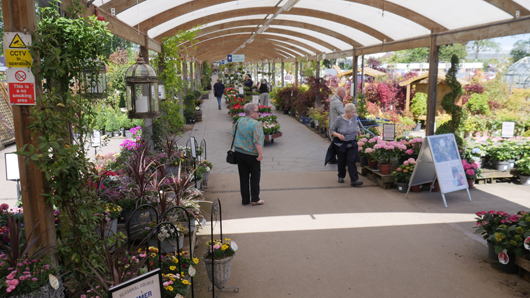 Blue Diamond Bridgmere Garden Opening GTN090525 089.jpg