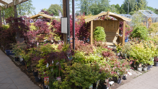 Blue Diamond Bridgmere Garden Opening GTN090525 091.jpg