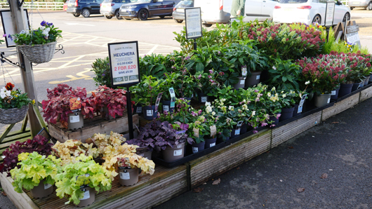 BD Blackdown GTN221025 007.jpg