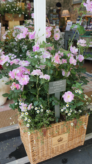 Chelsea 2025 Press Day GTN190525 166.jpg