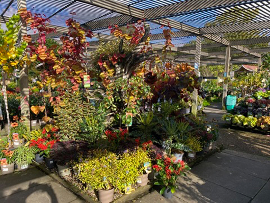 Summerhill - Oct 2025 GTN221025 095.jpg