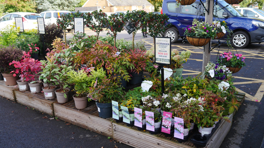 BD Blackdown GTN221025 006.jpg