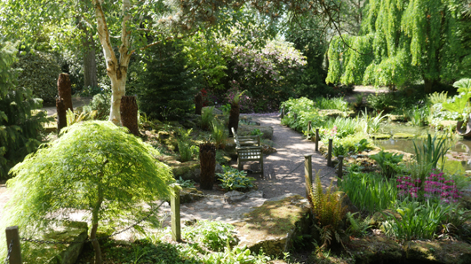 Blue Diamond Bridgmere Garden Opening GTN090525 071.jpg