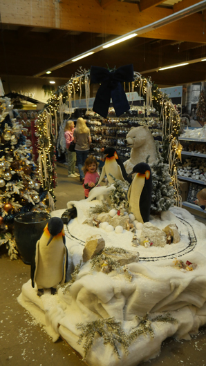 Dobbies Peterborough Christmas 2026 GTN151026 016.jpg