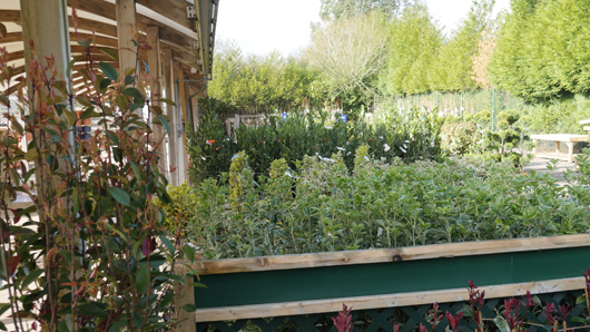 BGC Rugby Opening GTN150325 017.jpg