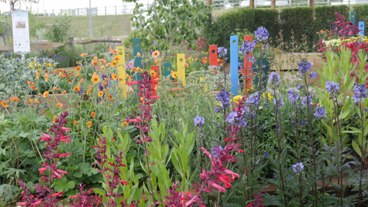 BBC GW Live 2025 Press Day GTN110625 062.jpg