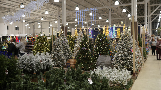 Blue Diamond Peterborough Christmas 2026 GTN221026 017.jpg