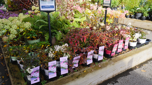 BD Blackdown GTN221025 079.jpg