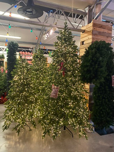 Summerhill - Oct 2025 GTN221025 076.jpg