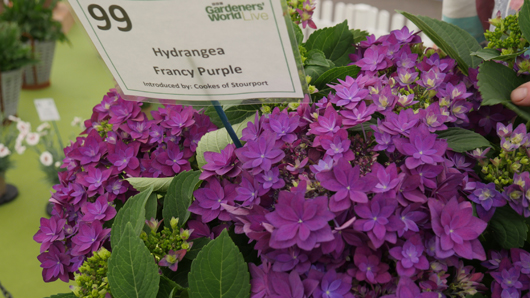 BBC GW Live 2025 Press Day GTN110625 047.jpg