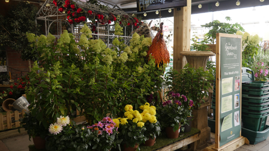 Scotsdales - June 2025 GTN140625 068.jpg