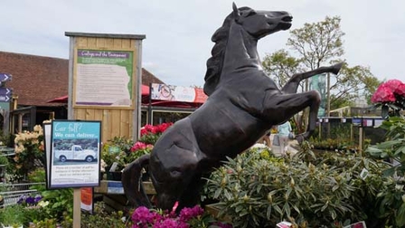 Home &amp; Garden UK at Coolings 110518_GTN001.jpg