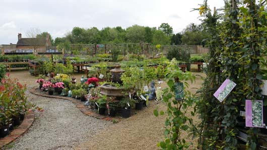 Bosworth Elton Hall 130518_GTN013.jpg