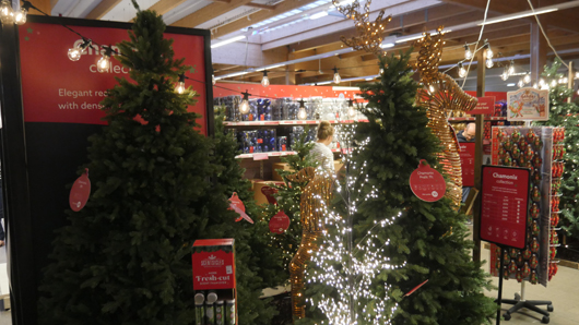 Dobbies Peterborough Christmas 2026 GTN151026 029.jpg