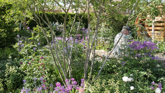 Chelsea 2025 Press Day GTN190525 154.jpg