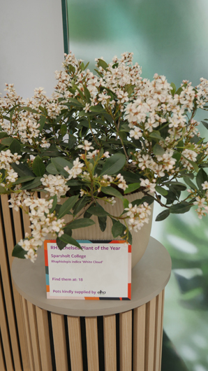 Chelsea 2025 Press Day GTN190525 112.jpg