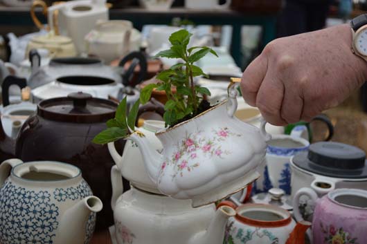 Tea Pot close up DSC_0023.jpg
