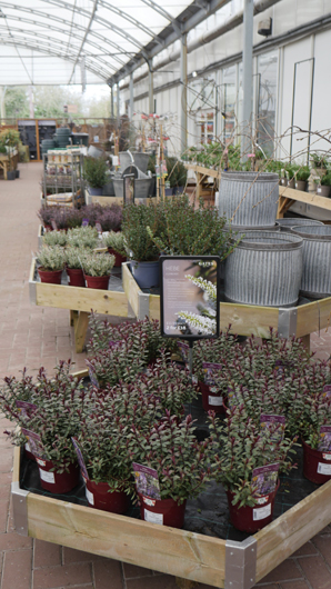 Gates at Woodlands GTN150325 033.jpg