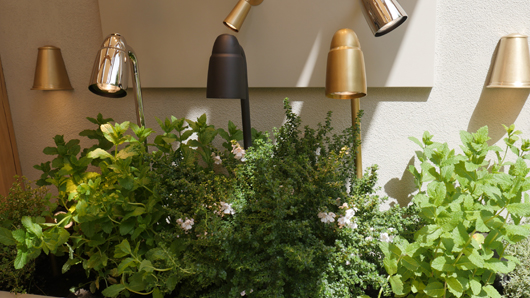 Chelsea 2025 Press Day GTN190525 060.jpg