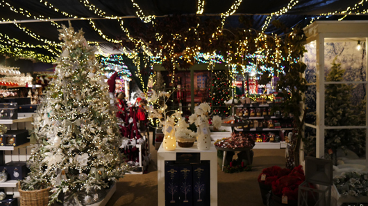 BD Blackdown GTN221025 038.jpg