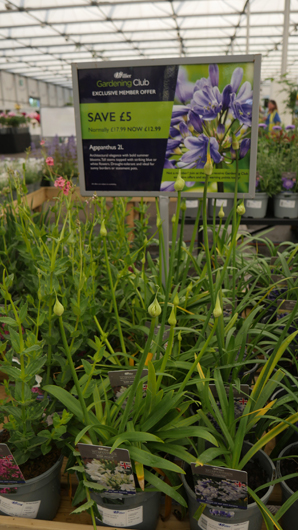 BBC GW Live 2025 Press Day GTN110625 030.jpg