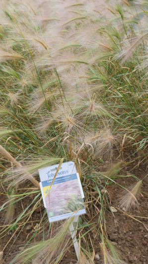 Mr Fothergills Press Day 2024 GTN070824 025.jpg