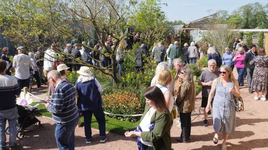 Blue Diamond Bridgmere Garden Opening GTN090525 012.jpg