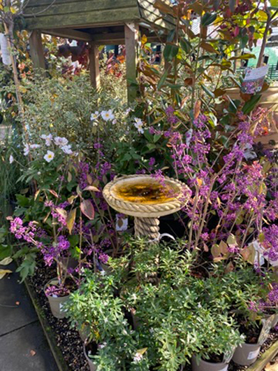 Summerhill - Oct 2025 GTN221025 096.jpg